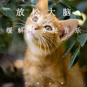 被❌水好多18久久久爽
